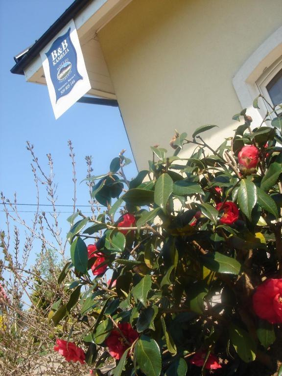 B&B Kamelia Komorniki  Exteriör bild